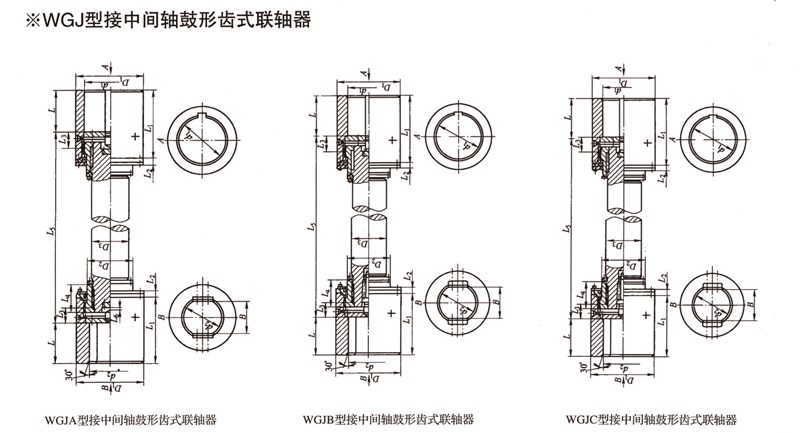 WGJ型接中间轴鼓形齿式联轴器